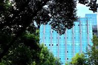 再见，远达环保、中环环保、东方园林！