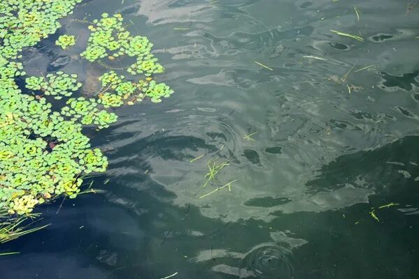 环保新质生产力 | 泰兴经济开发区污水处理及生态环境提升工程