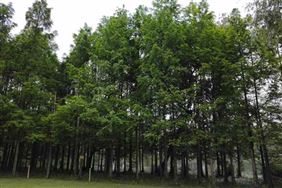 第七次上海合作组织成员国环境部长会召开