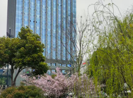 68家上榜！第七批产业技术基础公共服务平台名单公布