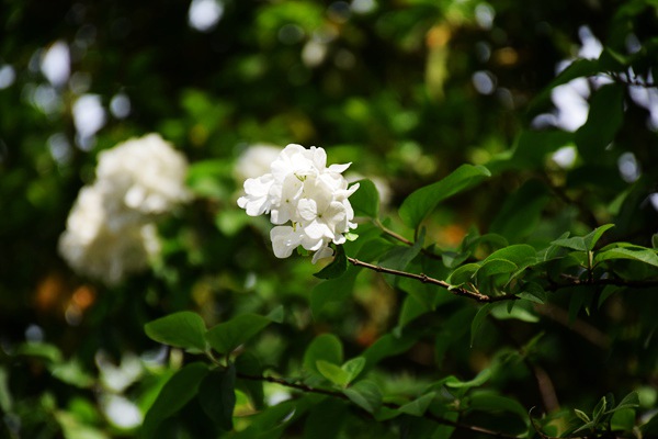 向新而行，塑见未来|宁波塑料协会会长王熊2026年新春贺词