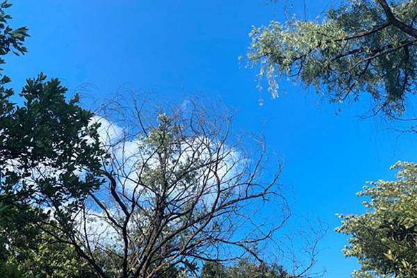 山东局举办全省寄递渠道涉烟监管能力提升培训班