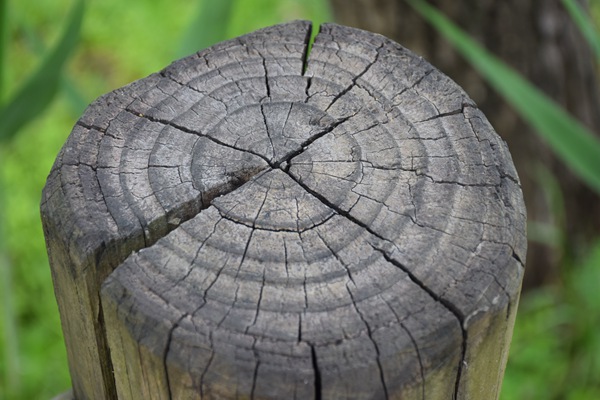 海南省委书记新春慰问新就业群体