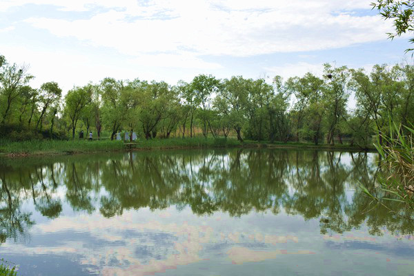通用技术中纺院与古纤道签订数字化建设合作协议