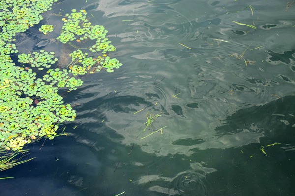 【年度蓝图·一线启航 | 落实工作会精神看基层】沈阳宏大华明：乘“十五五”东风，奋楫“七大工程”